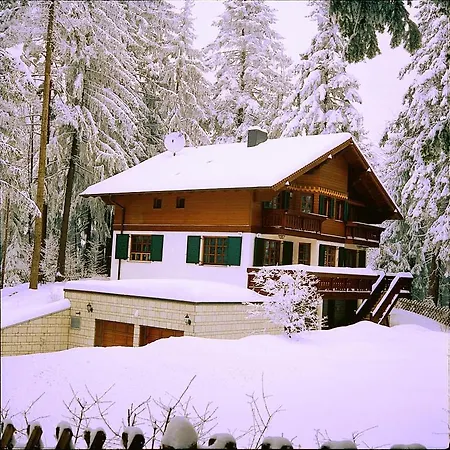 Stresov Villa Borovets